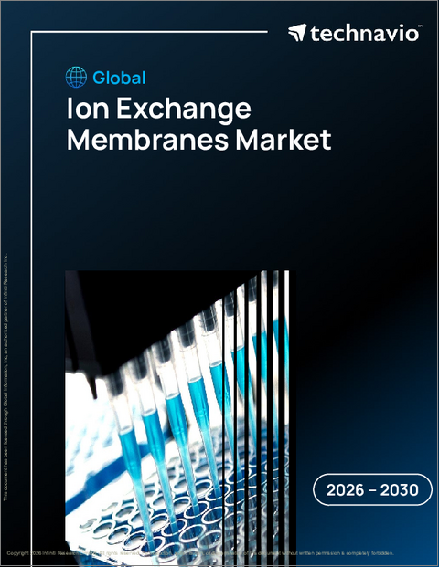 表紙：イオン交換膜の世界市場、2026年～2030年