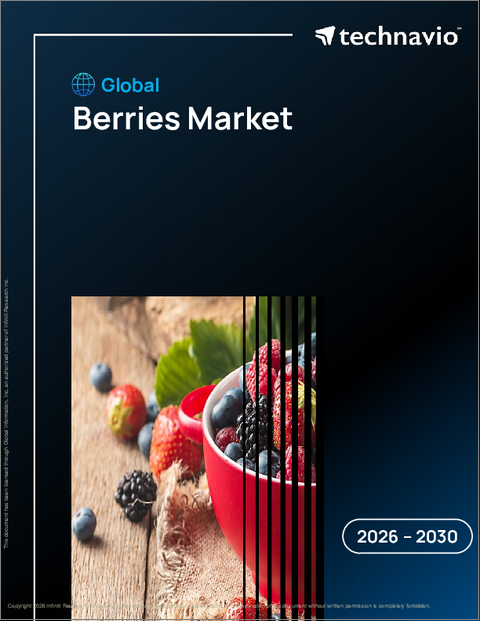 表紙:ベリーの世界市場 2026年~2030年