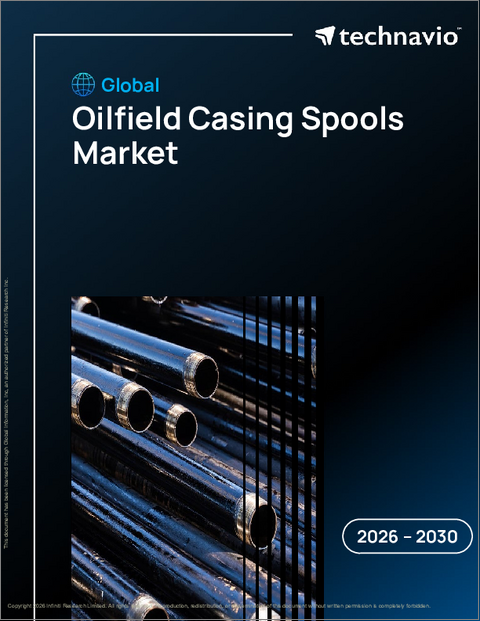 表紙：油田ケーシングスプールの世界市場、2026年～2030年