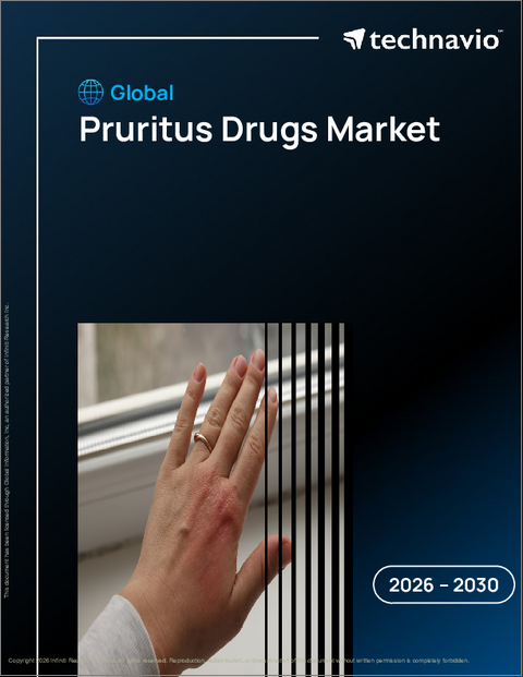 表紙：かゆみ治療薬の世界市場 2026年～2030年