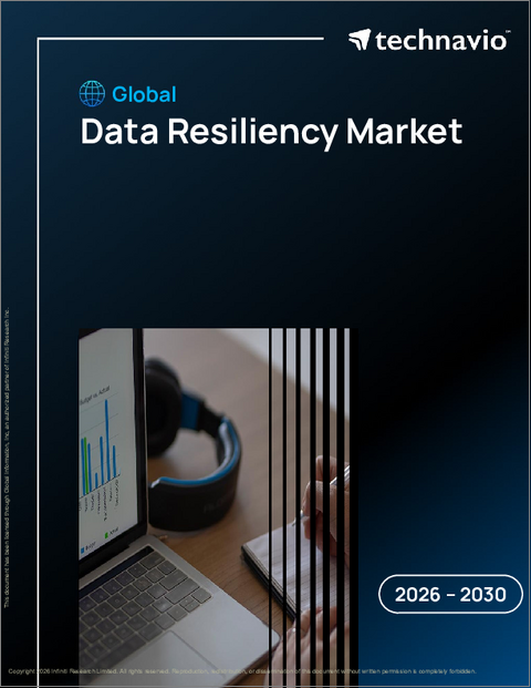 表紙：データの回復力の世界市場 2026年～2030年