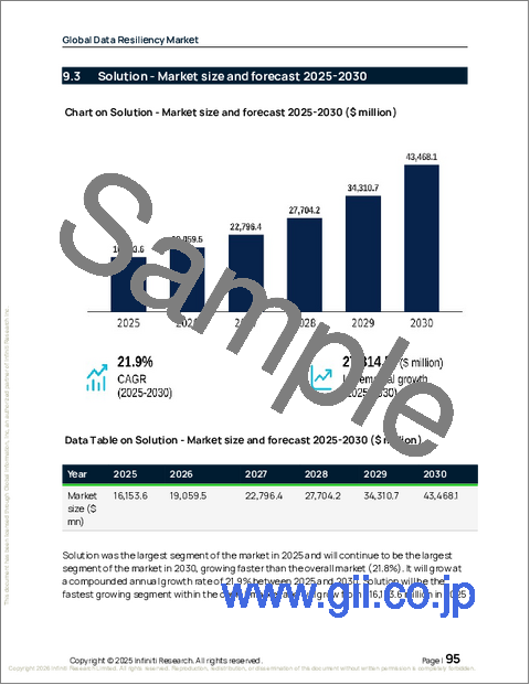 サンプル2：データの回復力の世界市場 2026年～2030年