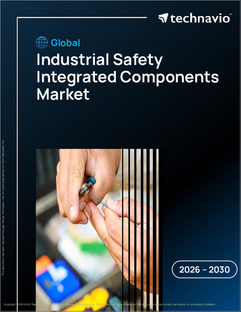 表紙：産業安全統合部品の世界市場 2026年～2030年