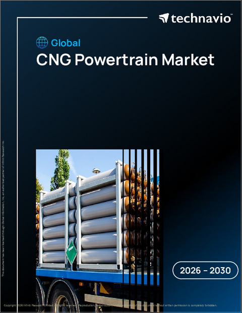 表紙:CNGパワートレインの世界市場 2026年~2030年