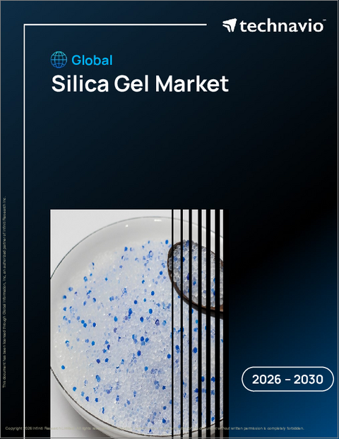 表紙：シリカゲルの世界市場 2026年～2030年