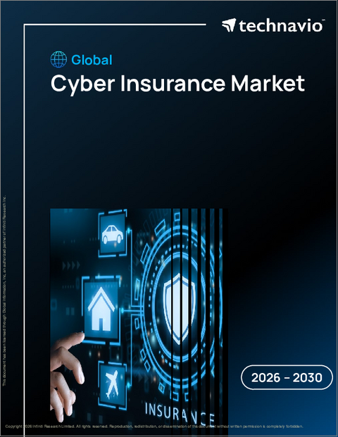 表紙:サイバー保険の世界市場 2026年~2030年
