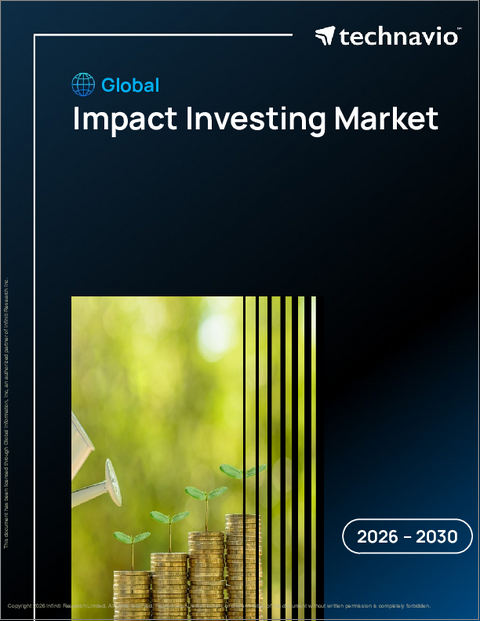 表紙:インパクト投資の世界市場 2026年~2030年