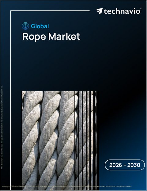 表紙:ロープの世界市場 2026年~2030年