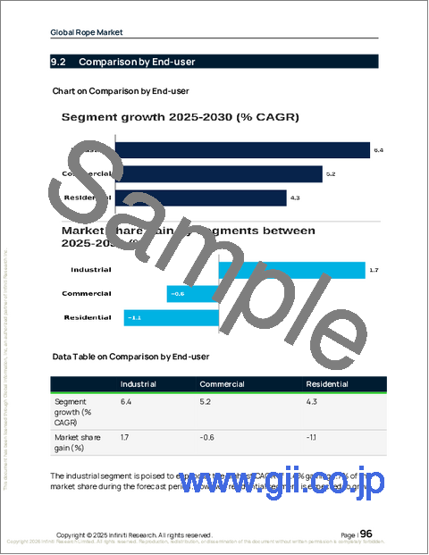 サンプル2:ロープの世界市場 2026年~2030年