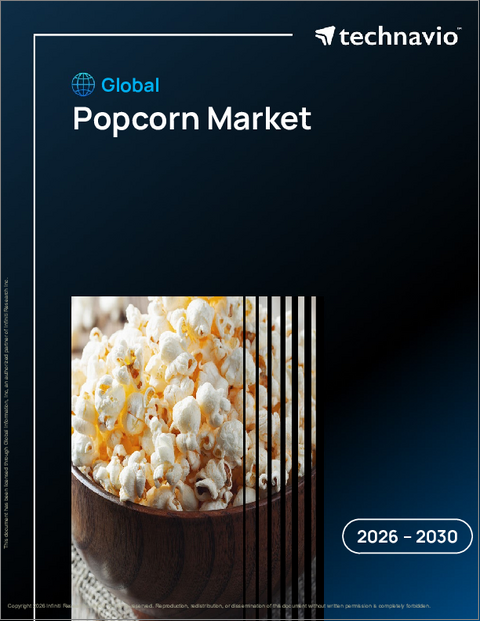 表紙:ポップコーンの世界市場 2026年~2030年