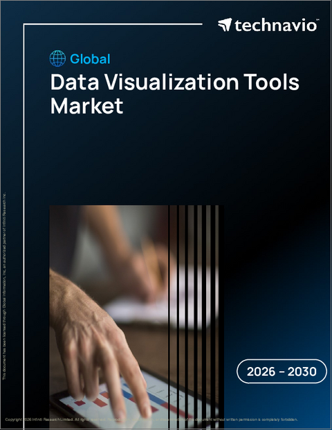 表紙：データ可視化ツールの世界市場 2026年～2030年