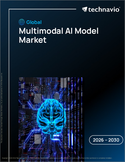 表紙:マルチモーダルAIモデルの世界市場 2026年~2030年