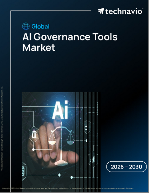 表紙：AIガバナンスツールの世界市場、2026年～2030年