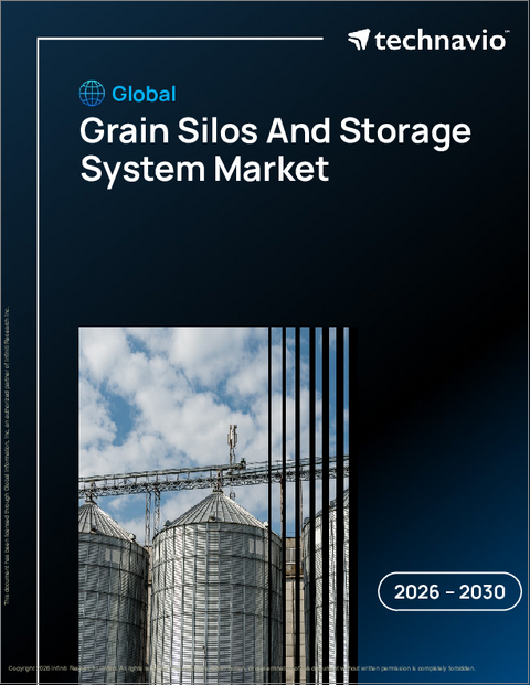 表紙:穀物サイロと貯蔵システムの世界市場 2026年~2030年