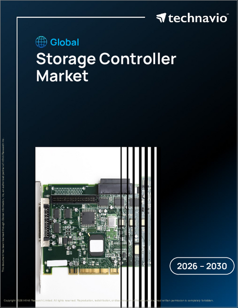 表紙:ストレージコントローラーの世界市場 2026年~2030年