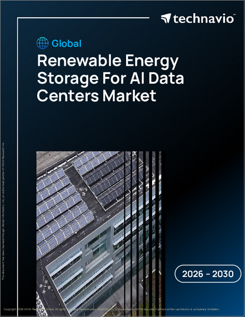表紙：AIデータセンター向け再生可能エネルギー貯蔵の世界市場、2026年～2030年