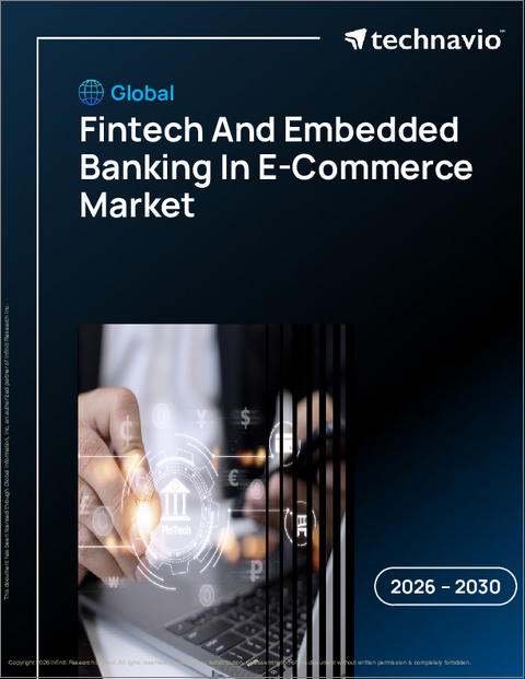 表紙：電子商取引におけるフィンテックと埋め込み型銀行の世界市場 2026年～2030年