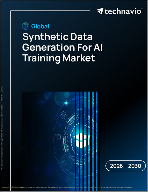 表紙：AIトレーニング向け合成データ生成の世界市場、2026年～2030年