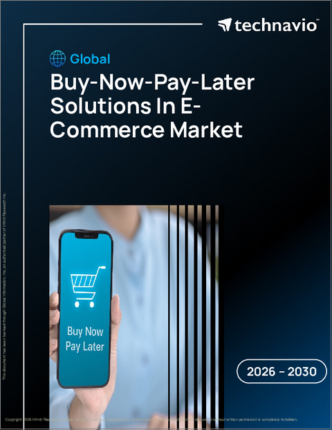 表紙:電子商取引における後払い決済ソリューションの世界市場 2026年~2030年