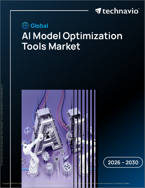 表紙:AIモデル最適化ツールの世界市場 2026年~2030年
