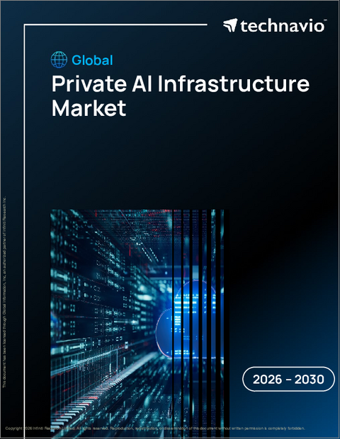 表紙:プライベートAIインフラの世界市場 2026年~2030年