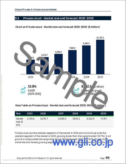 サンプル2:プライベートAIインフラの世界市場 2026年~2030年