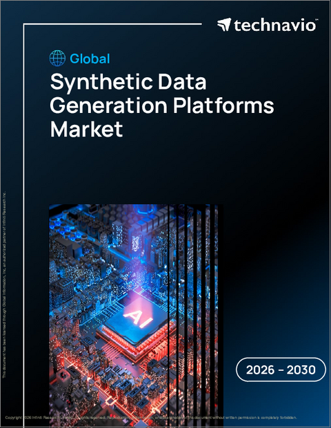表紙:合成データ生成プラットフォームの世界市場 2026年~2030年