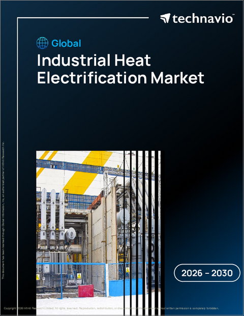 表紙：工業用熱電化の世界市場 2026年～2030年