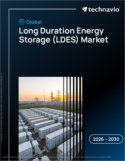 表紙:長期エネルギー貯蔵(LDES)の世界市場 2026年~2030年