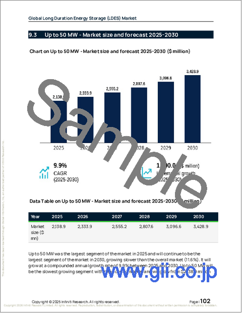 サンプル2:長期エネルギー貯蔵(LDES)の世界市場 2026年~2030年