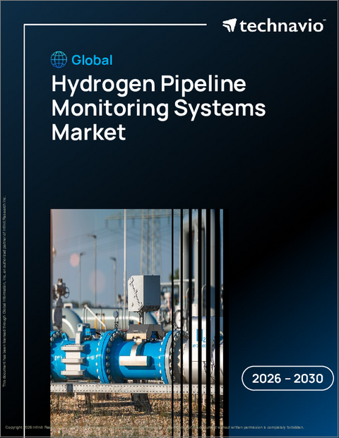 表紙：水素パイプライン監視システムの世界市場 2026年～2030年