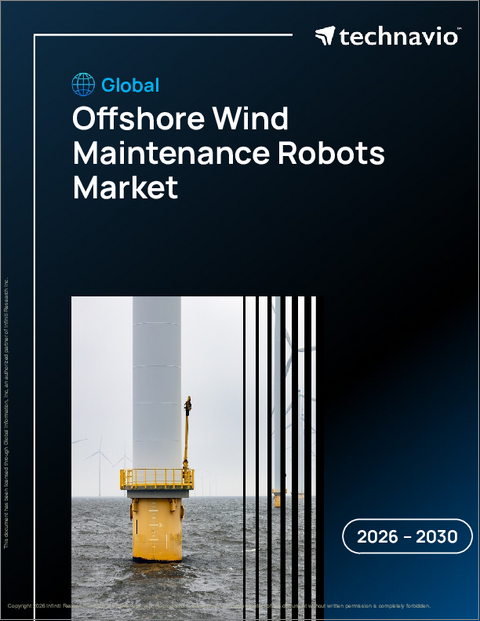 表紙:洋上風力メンテナンスロボットの世界市場 2026年~2030年