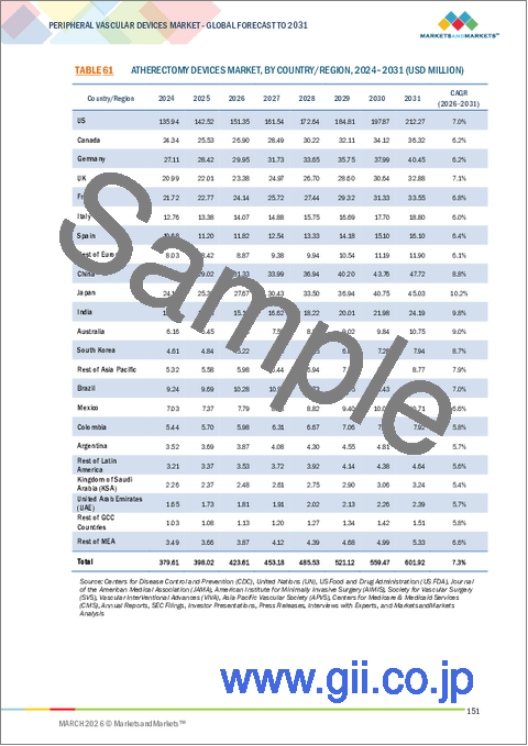 サンプル2：末梢血管デバイスの世界市場：タイプ別、エンドユーザー別 - 予測（～2031年）