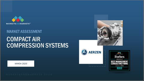 表紙：小型空気圧縮システムの世界市場：製品タイプ別、圧力別、エンドユーザー別、地域別 - 予測（～2030年）