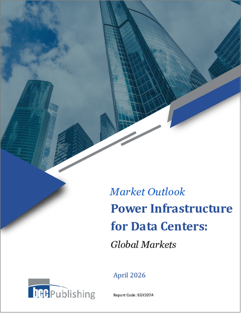 表紙：データセンター向け電力インフラ：世界市場