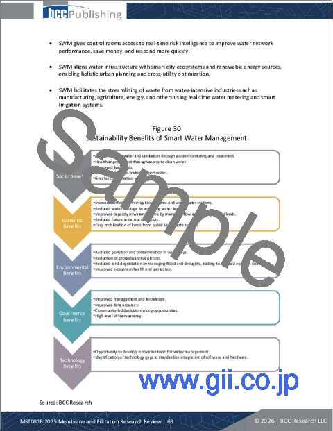 サンプル1：膜およびろ過技術の調査レビュー：2025年