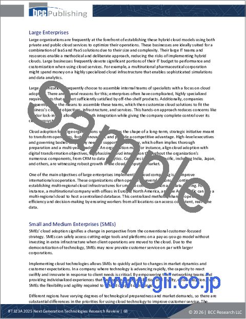 サンプル2：次世代技術の調査レビュー：2025年