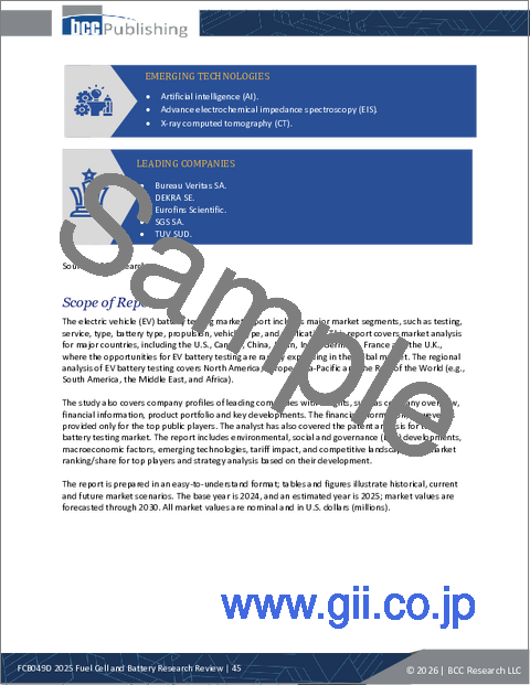 サンプル1：燃料電池の調査レビュー：2025年
