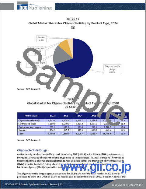 サンプル2：タンパク質合成の調査レビュー：2025年