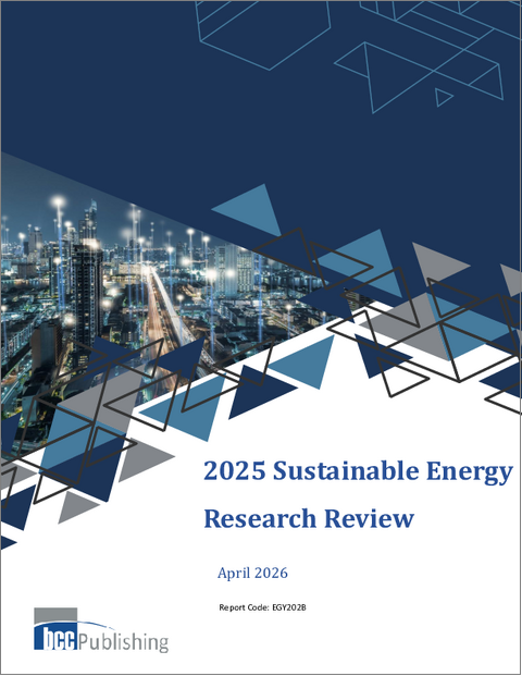 表紙：持続可能エネルギーの調査レビュー：2025年