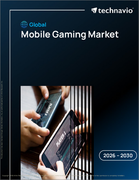 表紙：世界のモバイルゲーム市場2026-2030年