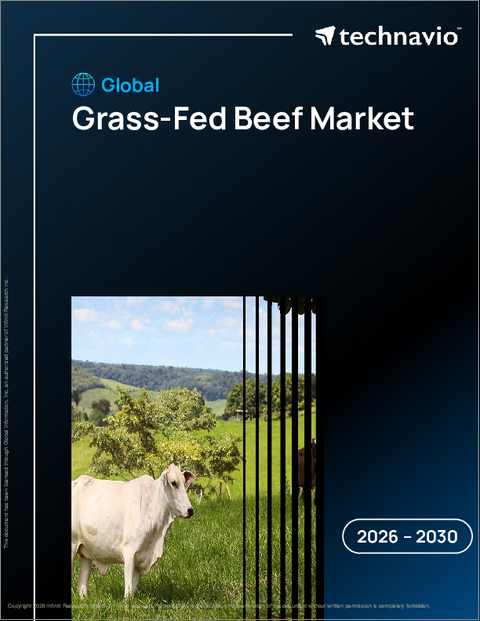 表紙：世界の牧草飼育牛肉市場2026-2030年
