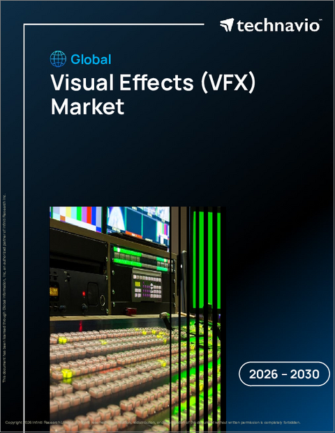 表紙：視覚効果（VFX）の世界市場 2026年～2030年