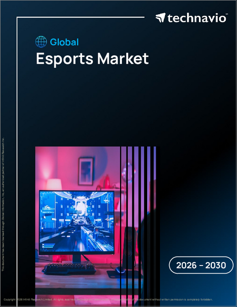 表紙：eスポーツの世界市場 2026年～2030年