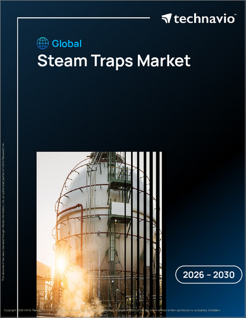 表紙：スチームトラップの世界市場 2026年～2030年