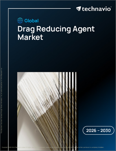 表紙：減粘剤の世界市場 2026年～2030年