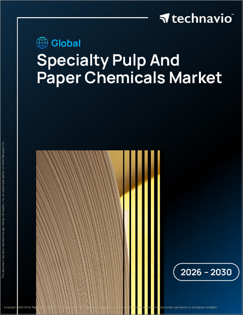 表紙：特殊パルプ・紙用化学品の世界市場 2026年～2030年