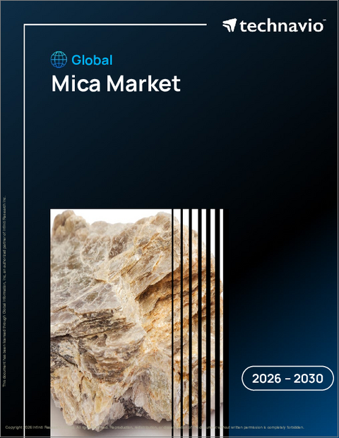 表紙:マイカの世界市場 2026年~2030年
