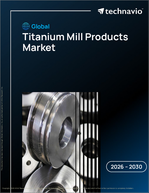 表紙：チタンミル製品の世界市場 2026年～2030年