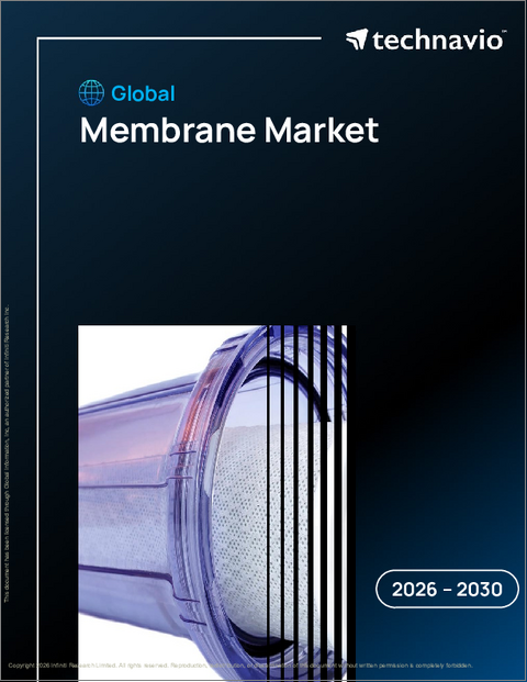 表紙:膜の世界市場 2026年~2030年
